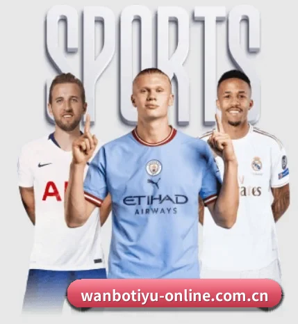 五大服务分区,信息按项目分类